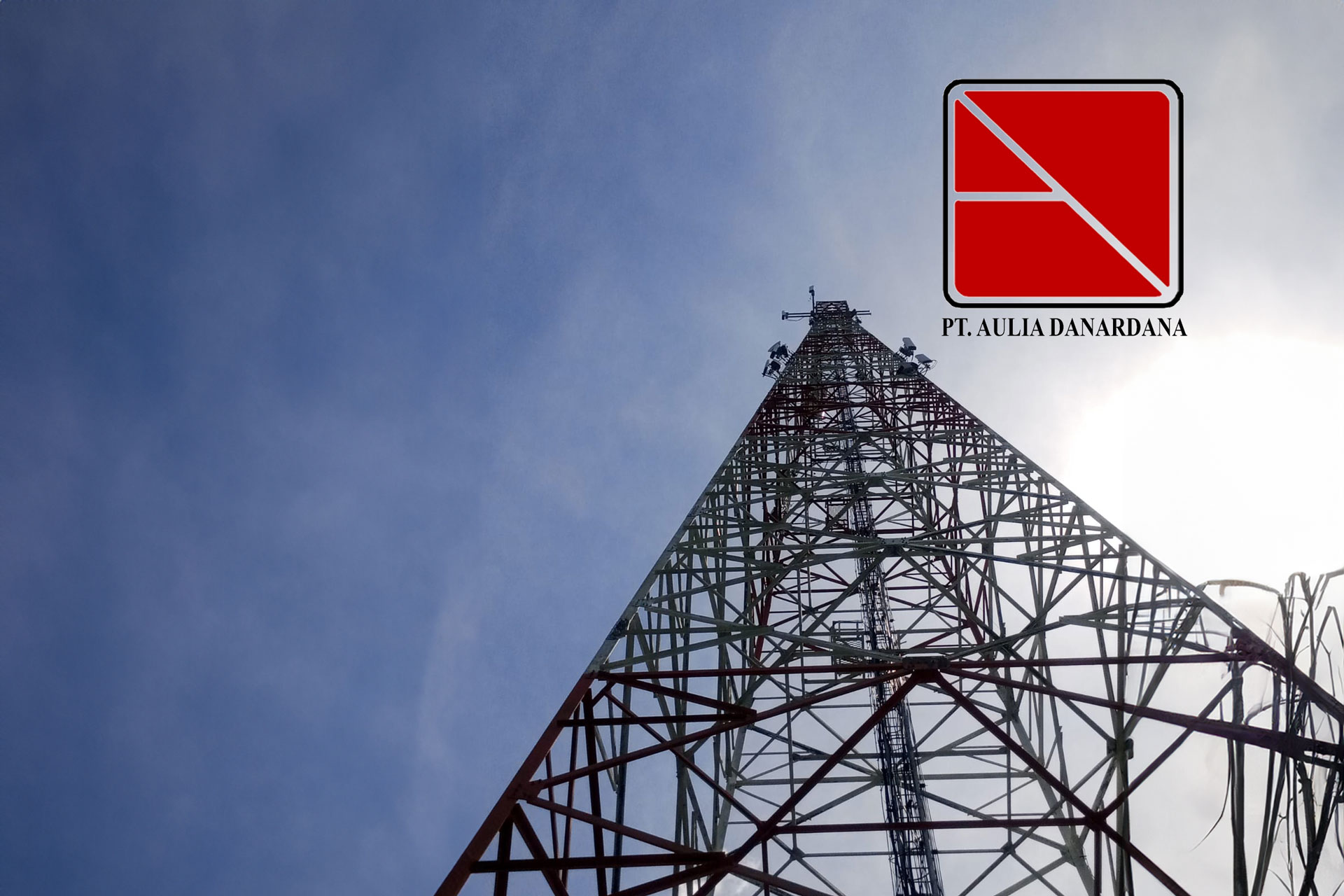 PT. Aulia Danardana